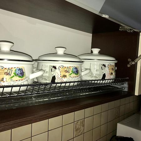 מוקצ'בה Large Apartment In The City Center מראה חיצוני תמונה
